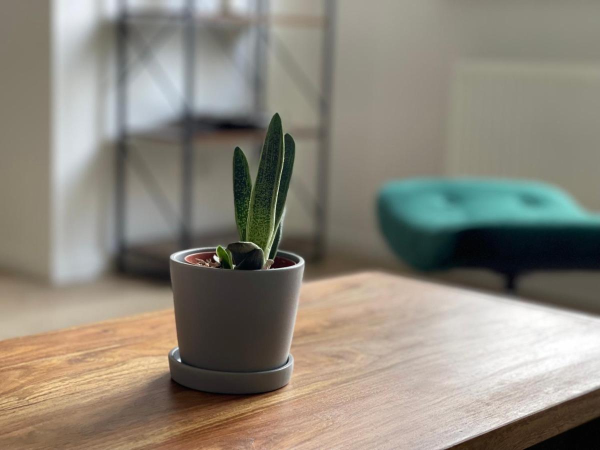 Modern * Zentral * Netflix * Arbeitsplatz Apartment Wuppertal Bagian luar foto